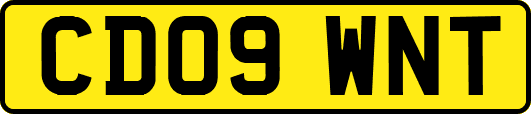 CD09WNT