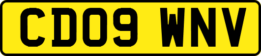 CD09WNV