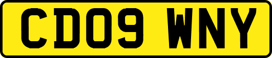 CD09WNY