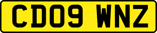 CD09WNZ