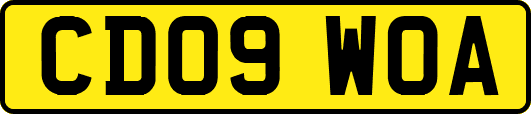 CD09WOA