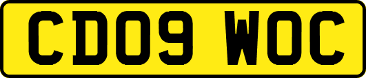 CD09WOC