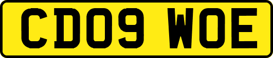 CD09WOE