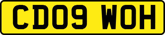 CD09WOH