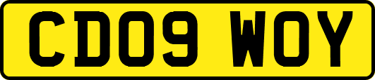 CD09WOY