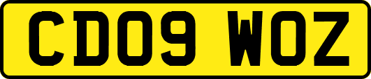 CD09WOZ