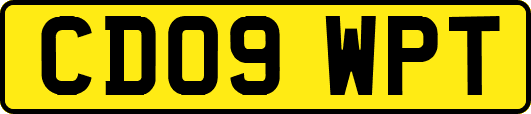 CD09WPT