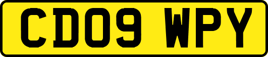 CD09WPY