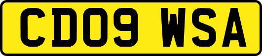 CD09WSA