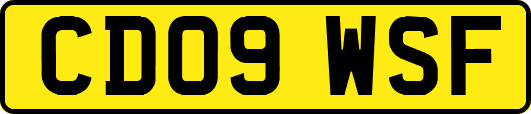 CD09WSF