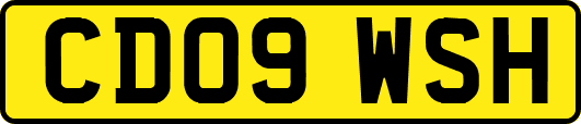 CD09WSH