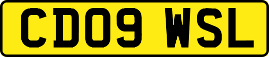 CD09WSL