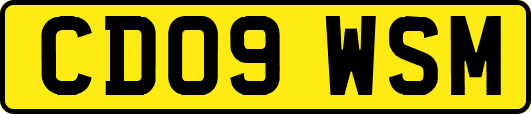 CD09WSM