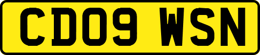 CD09WSN