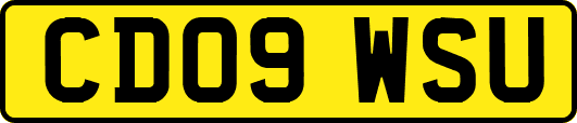 CD09WSU