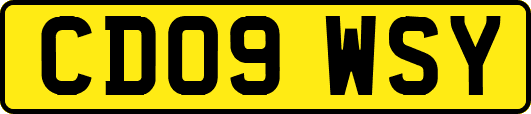 CD09WSY
