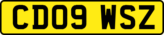 CD09WSZ
