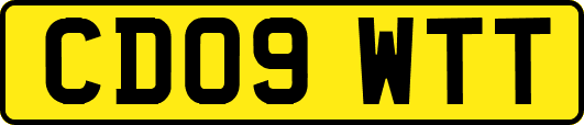 CD09WTT
