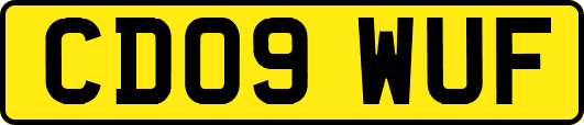 CD09WUF