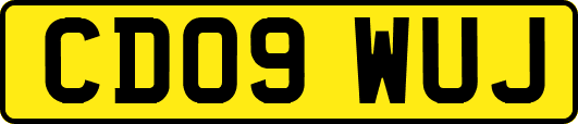 CD09WUJ