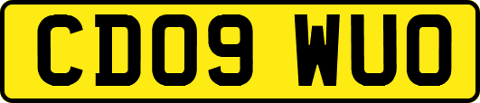 CD09WUO