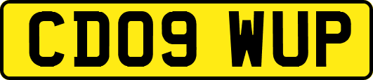 CD09WUP