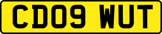 CD09WUT