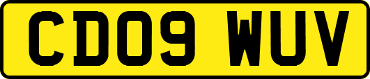 CD09WUV