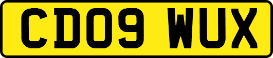 CD09WUX