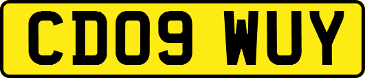 CD09WUY