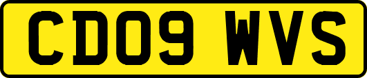 CD09WVS