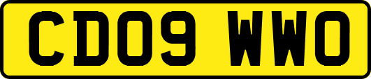 CD09WWO
