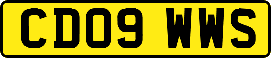 CD09WWS