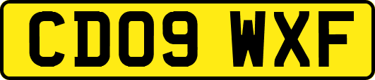 CD09WXF