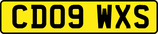 CD09WXS