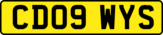 CD09WYS