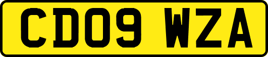 CD09WZA