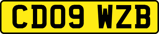 CD09WZB