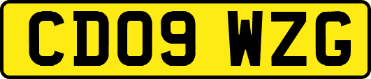 CD09WZG