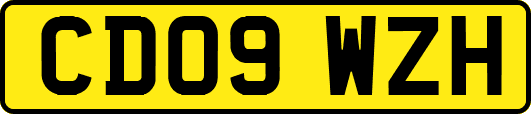 CD09WZH
