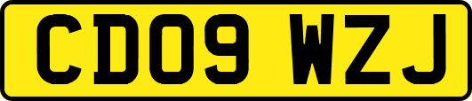 CD09WZJ