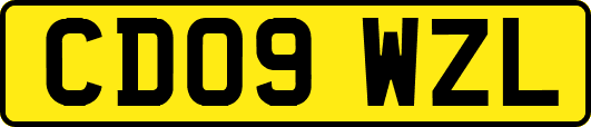 CD09WZL