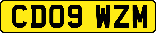 CD09WZM