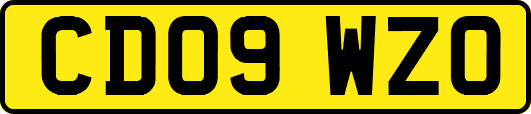 CD09WZO