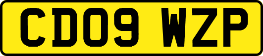 CD09WZP