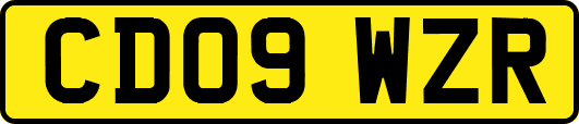 CD09WZR