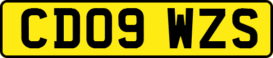 CD09WZS