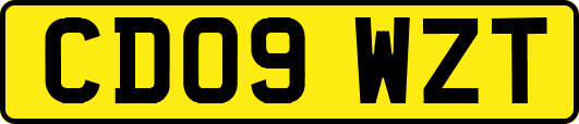 CD09WZT