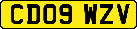 CD09WZV