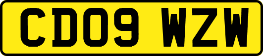 CD09WZW